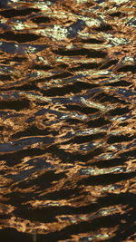 Full frame shot of rippled water
