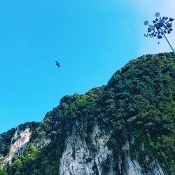 Low angle view of bird flying against clear blue sky