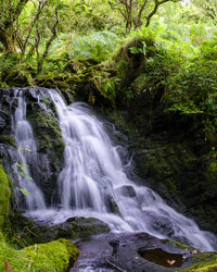 beauty in nature