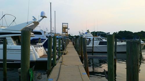 Boats in harbor