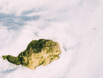 Aerial view of landscape against sky