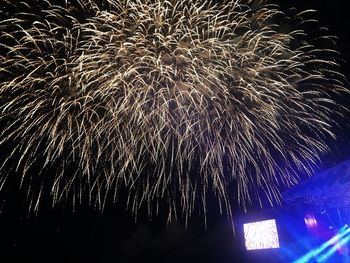 Low angle view of fireworks against sky at night