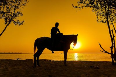 Silhouette man riding horse on beach during sunset