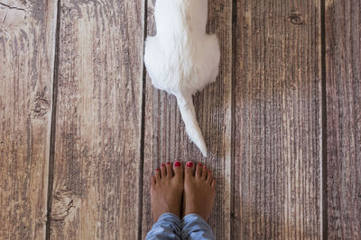 Low section of woman standing on wooden floor