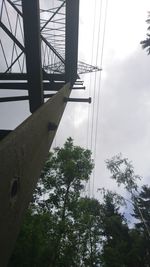 Low angle view of trees against sky