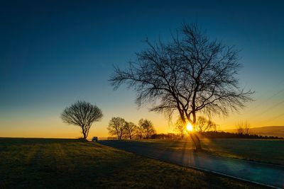 Silhouette tree on field against sky at sunset