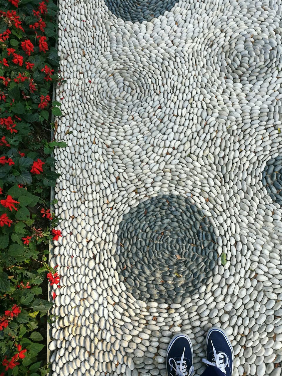 LOW SECTION OF WOMAN STANDING ON GROUND