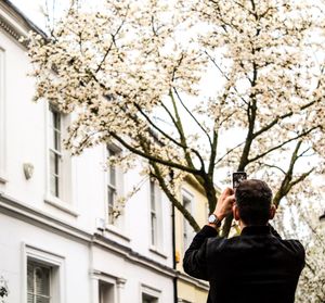 Rear view of man standing by cherry tree