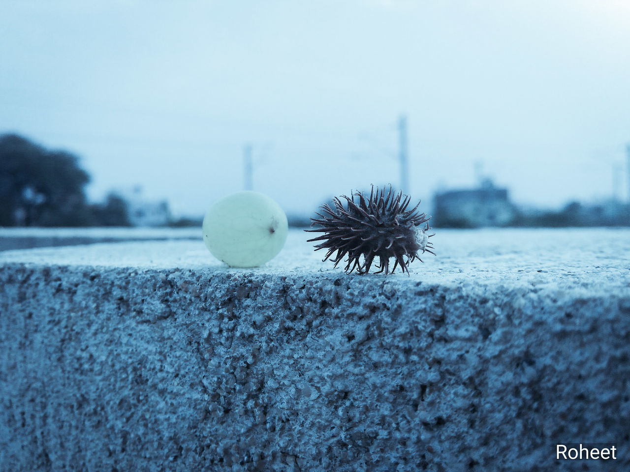 CLOSE-UP OF A BALL ON BEACH