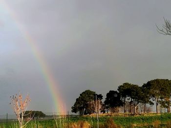 Rainbow over landscape against sky