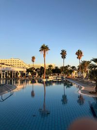 Palm trees by swimming pool against sky