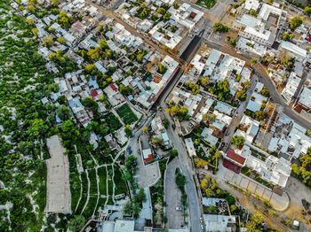 High angle view of trees and buildings in city