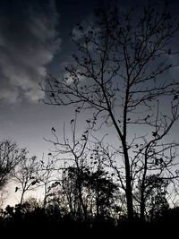 Low angle view of silhouette trees against sky at dusk