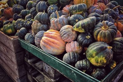 Pumpkins on stall for sale at market