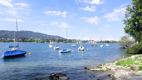 Sailboats moored on sea against sky