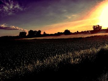 Scenic view of field against sky during sunset