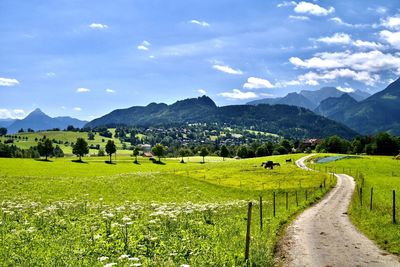 landscape