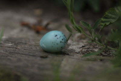 Close-up of ball on wood