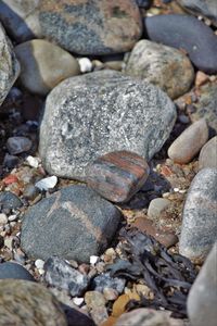 Close-up of stones on rocks