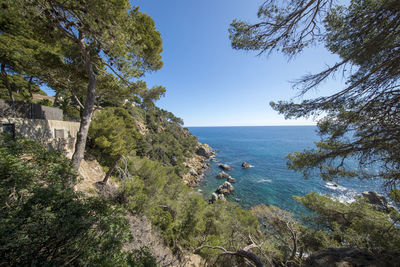 Scenic view of sea against clear sky