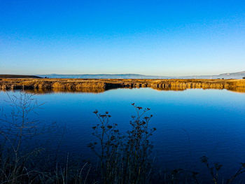 Scenic view of lake against clear blue sky