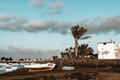 Palm trees on beach against sky