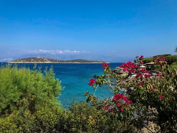 Scenic view of sea against blue sky