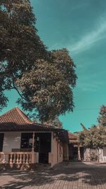 Low angle view of tree and building against sky