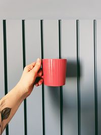 Cropped hand of woman holding a cup