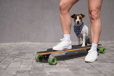 Low section of man with dogs on street