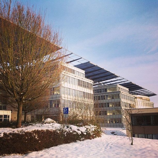 snow, winter, cold temperature, building exterior, architecture, built structure, season, weather, house, sky, tree, covering, bare tree, residential building, residential structure, frozen, nature, cloud - sky, outdoors, field