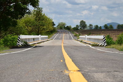 Surface level of road along trees