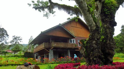 View of trees and built structure against sky