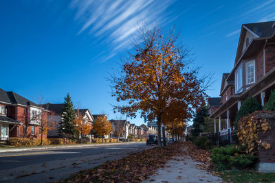 Houses amidst trees against sky