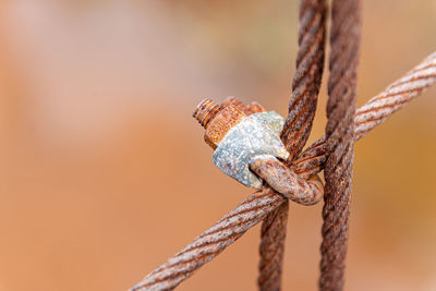 Rusted u-bolt and rope sling, rusted sling. rusted nuts and bolts