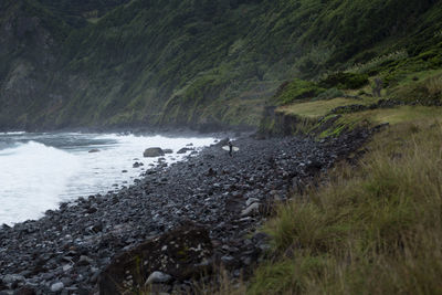 Scenic view of river