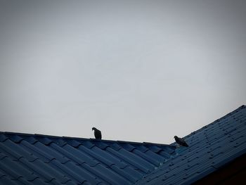 Low angle view of birds perching on roof of building against sky