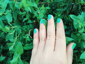 Cropped hand of woman with nail polish on fingernails by plants