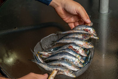 Midsection of person holding fish