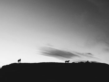 Low angle view of silhouette people against sky