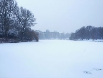 Bare trees on snow covered field