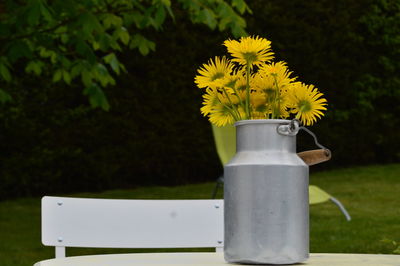 Close-up of yellow flowering plant in yard