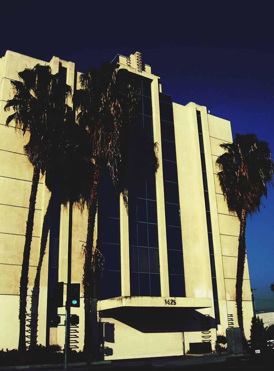 architecture, built structure, low angle view, building exterior, tall - high, palm tree, sky, tree, city, clear sky, modern, building, silhouette, tower, skyscraper, sunlight, office building, tall, outdoors, no people