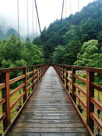 View of footbridge in forest