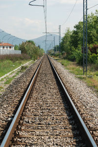 Railroad track amidst trees against sky