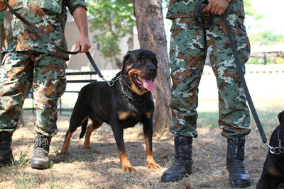 Low section of woman with dog standing on land