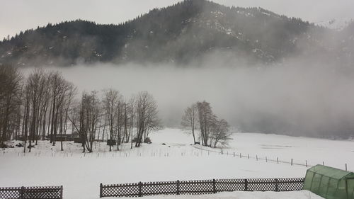 Trees on snow covered landscape against sky