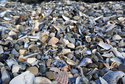 Full frame shot of stones
