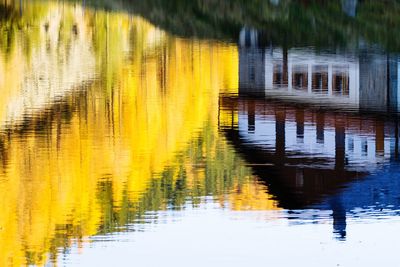 Scenic view of lake in forest