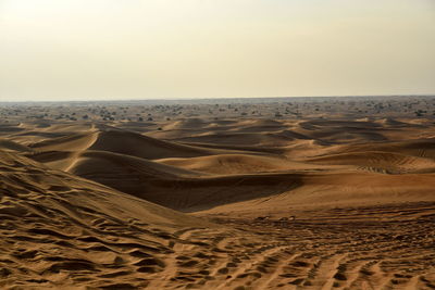 Sharjah desert area, one of the most visited places for off-roading by off roaders